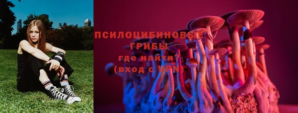 ПСИЛОЦИБИНОВЫЕ ГРИБЫ Сатка